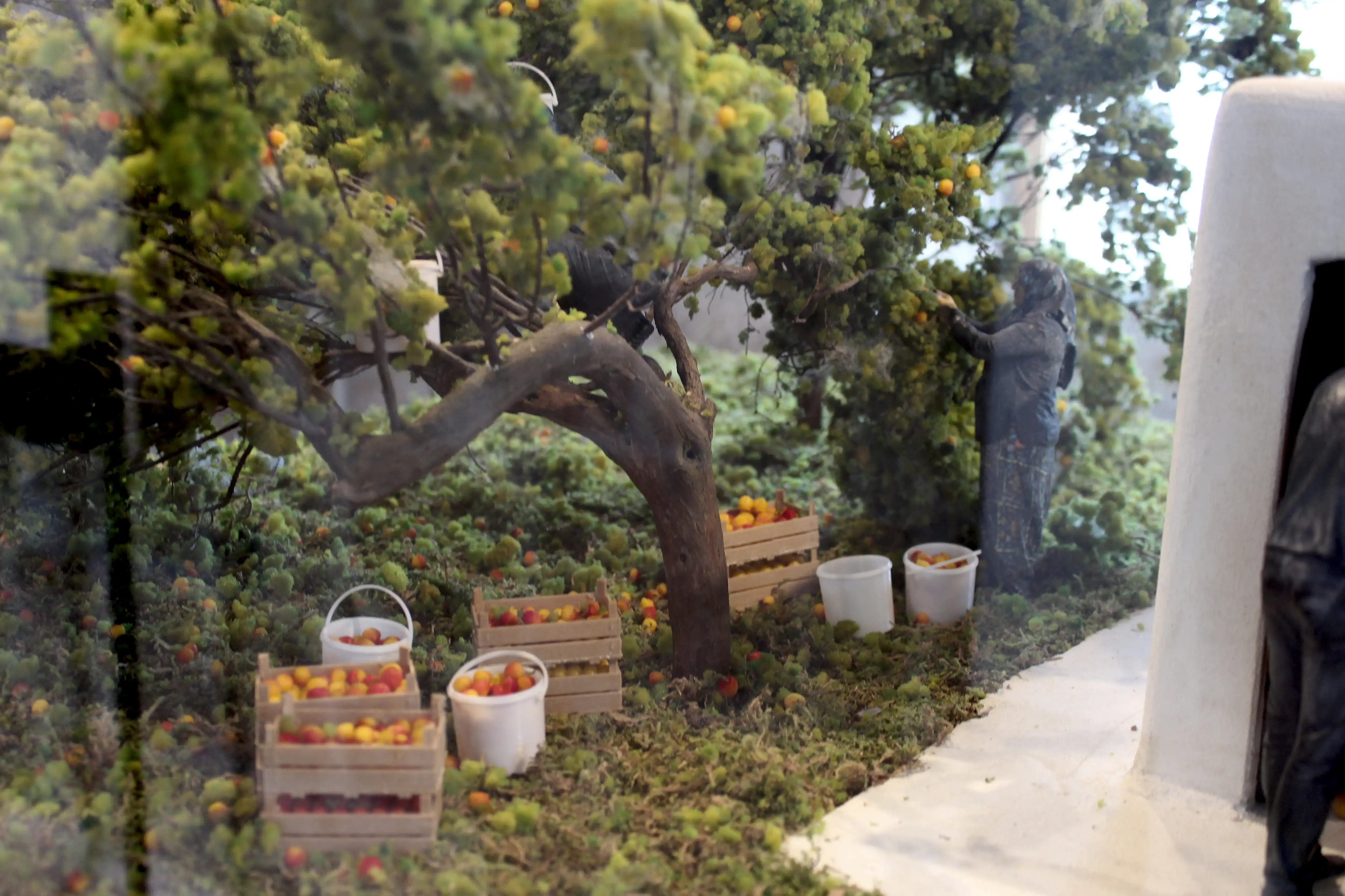 Bakı Kayısı Maket