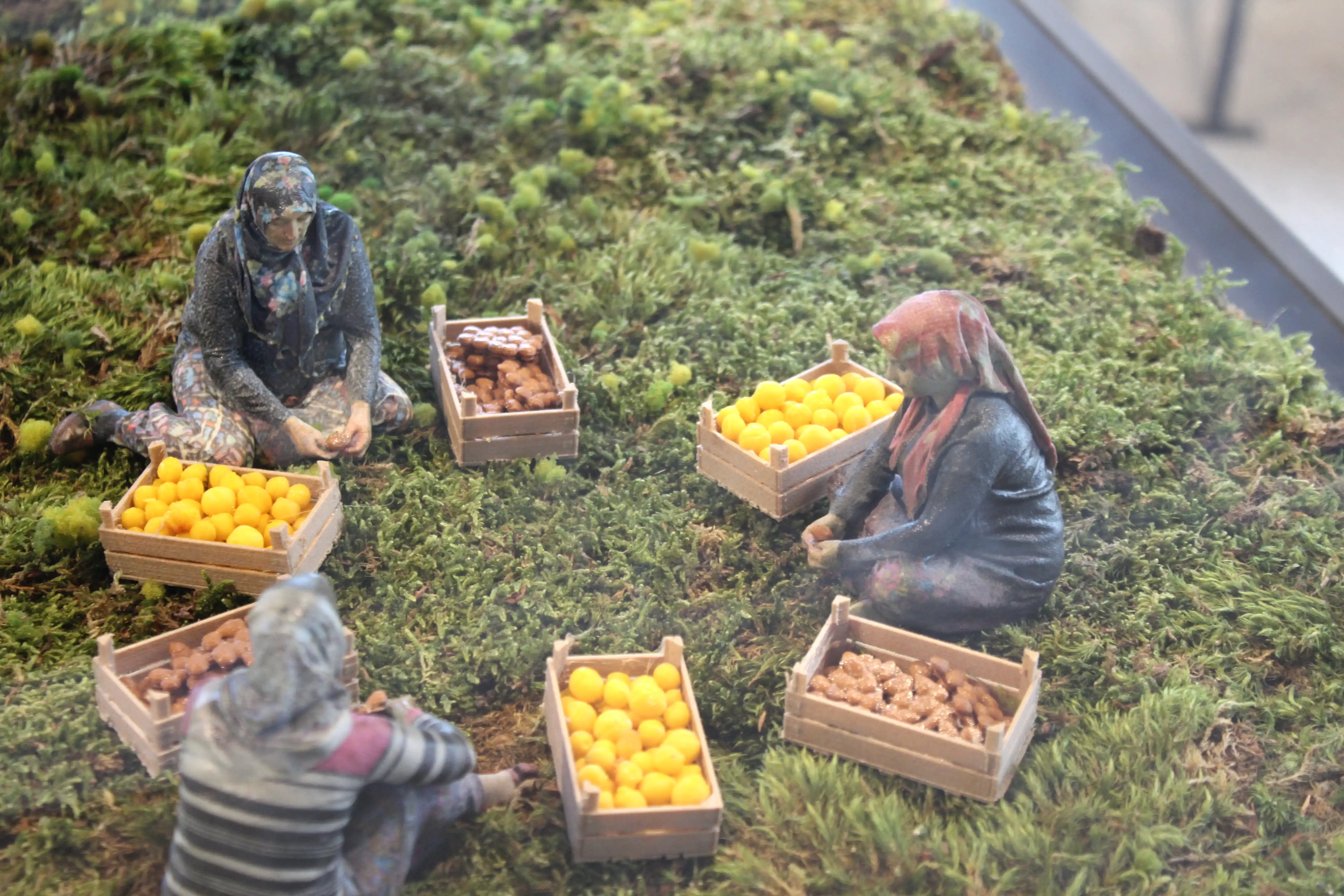 Bakı Kayısı Maket